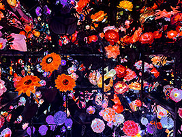 Maison Millefleurs, 2025